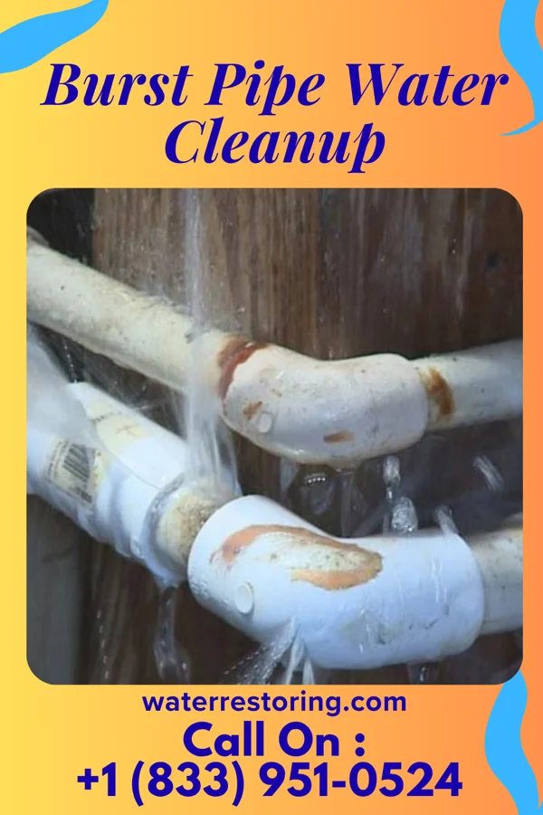 Burst Pipe Water Cleanup in Henrietta, PA