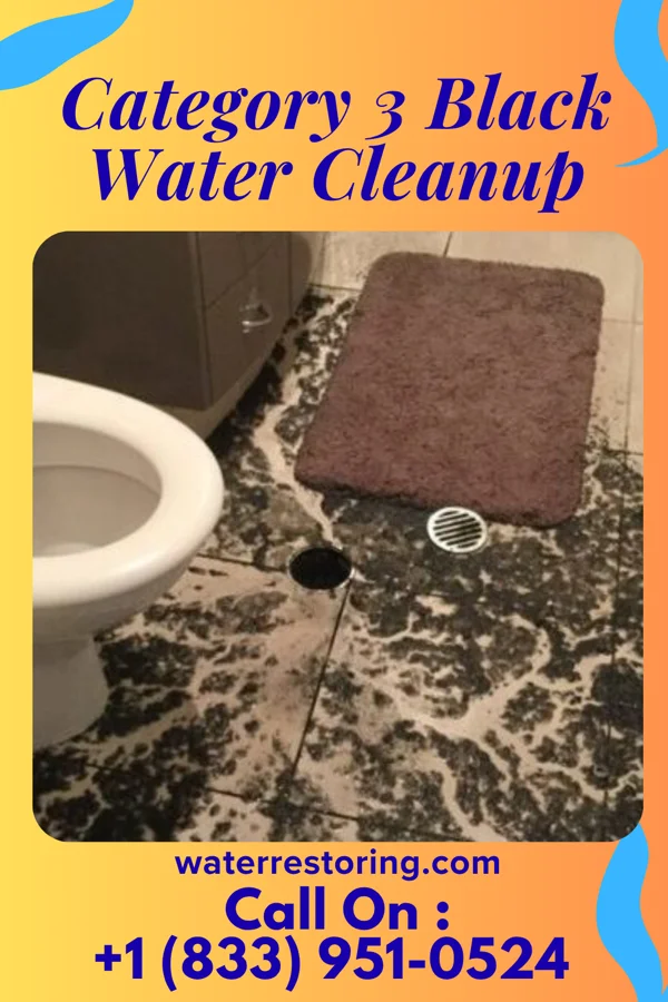 Category 3 Black Water Cleanup in Henrietta, PA
