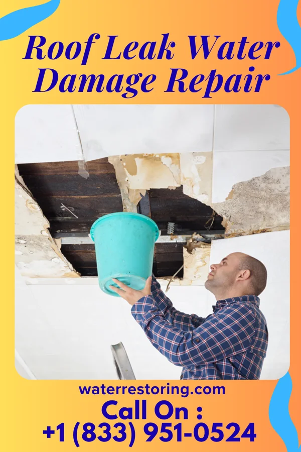 Roof Leak Water Damage Repair in Henrietta, PA