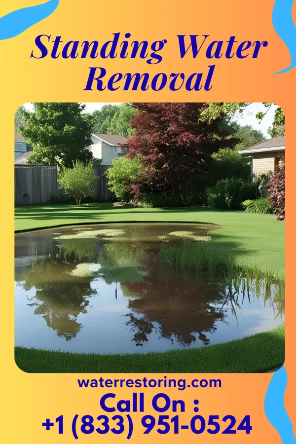 Standing Water Removal in Henrietta, PA